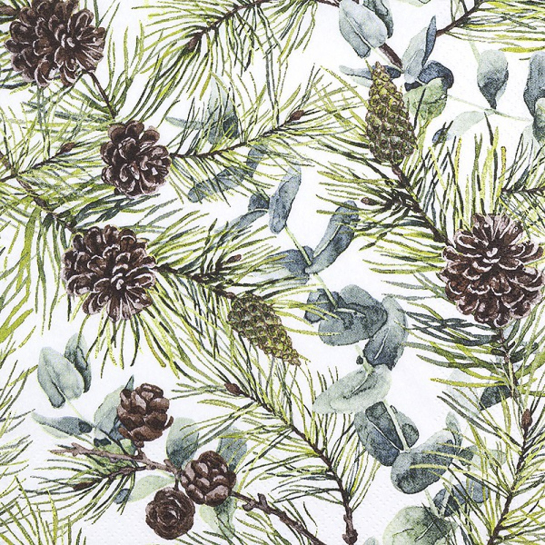 Paper Napkins 33cm, Eucalyptus & Pine *ETA Nov image 0